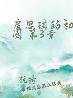 房思琪的初恋乐园 第3章