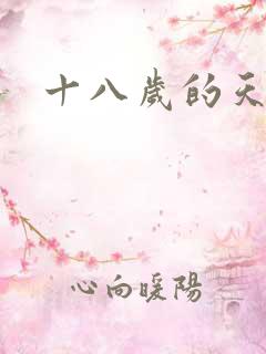 十八岁的天空续