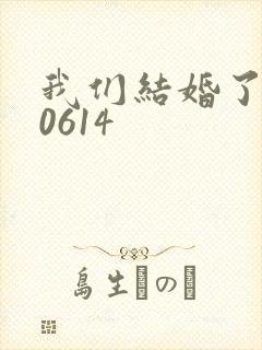我们结婚了130614