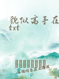 貌似高手在异界txt