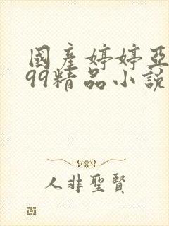 国产婷婷亚洲999精品小说