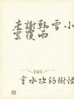 老谢韩雪小说翻云覆雨