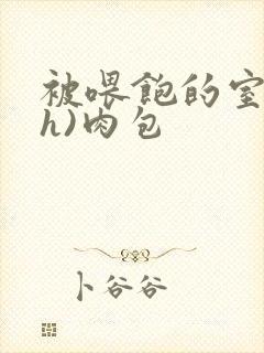 被喂饱的室友(h)肉包