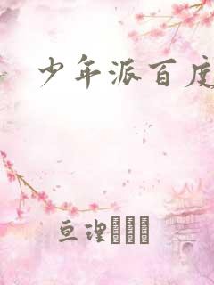 少年派百度百科