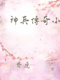 神兵传奇小说