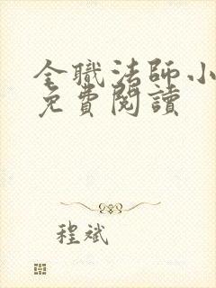 全职法师小说 免费阅读