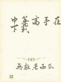 中华高手在异世下载