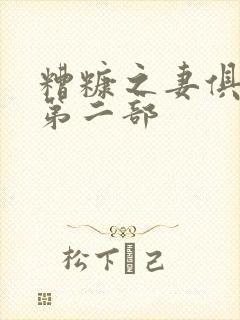 糟糠之妻俱乐部第二部