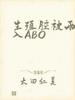 生殖腔被两根进入ABO