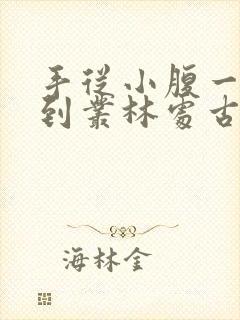 手从小腹一路开到丛林处古代