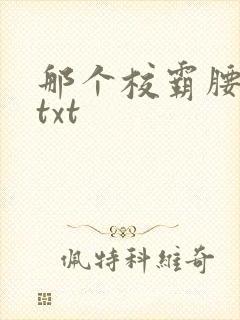 那个校霸腰好软txt