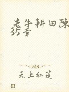 老牛耕田陈雪435章