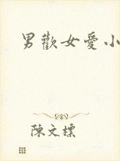 男欢女爱小说