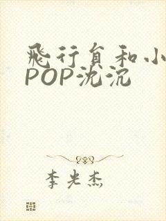 飞行员和小空乘POP沈沉