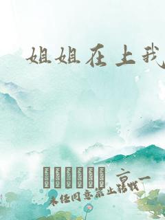 姐姐在上我在下