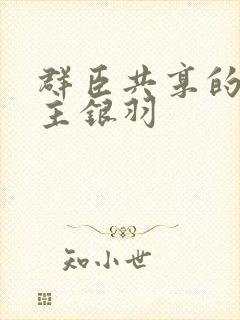 群臣共享的小公主银羽