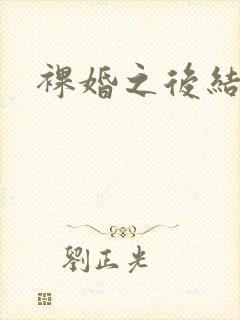裸婚之后结局