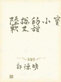 陆总的小宝贝又软又甜