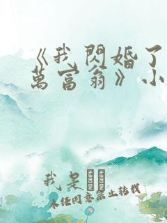 《我闪婚了个亿万富翁》小说