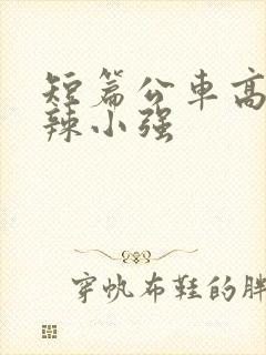 短篇公车高h肉辣小强