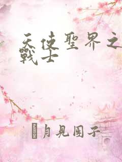 天使圣界之神之战士