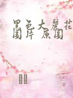 黑色大丽花真实图片 原图