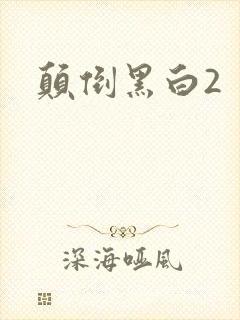 颠倒黑白2