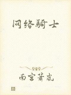 网络骑士