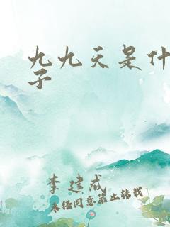 九九天是什么日子