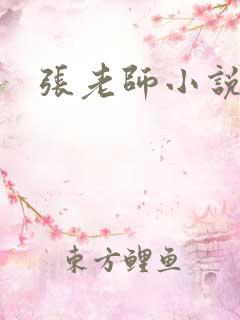 张老师小说