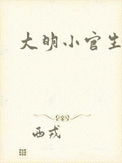 大明小官生活