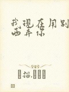 我现在用别的东西弄你