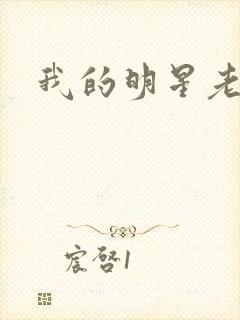 我的明星老豆