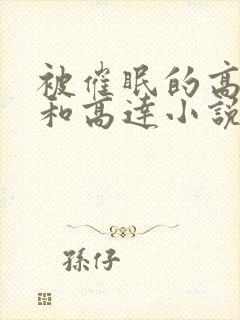 被催眠的高小柔和高达小说