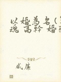以婚为名 (军魂 高干 婚恋)