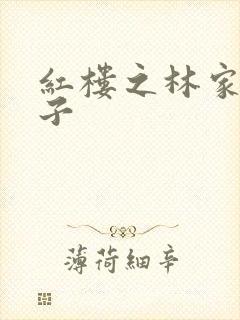 红楼之林家庶长子