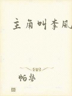 主角叫李风起