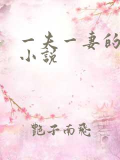 一夫一妻的玄幻小说