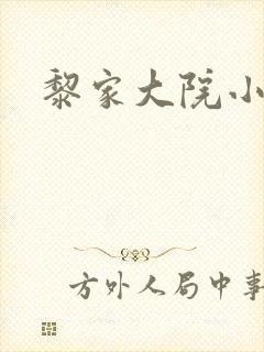 黎家大院小说