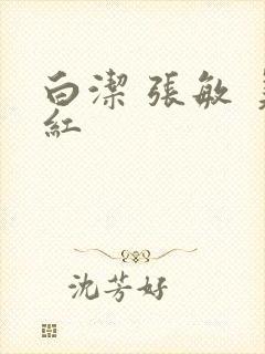 白洁 张敏 美红