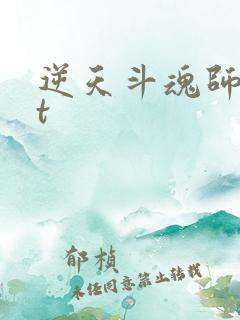 逆天斗魂师txt
