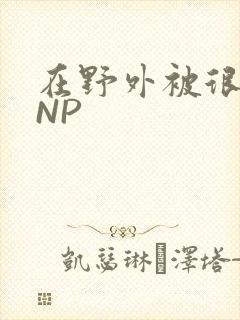 在野外被很多人NP