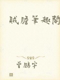 贼胆笔趣阁