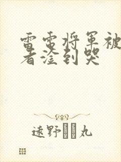 雷电将军被旅行者淦到哭