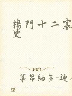 杨门十二寡妇艳史