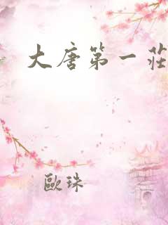 大唐第一庄