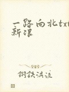 一路向北txt新浪