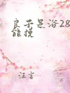 良子足浴288能摸