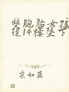 双胞胎女孩双双从14楼坠下