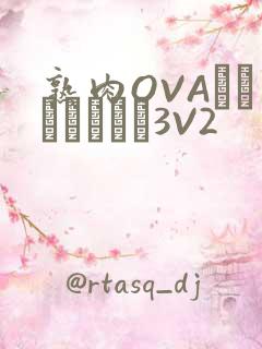 熟肉OVAちゃんはしたい3V2